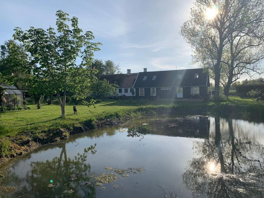 Kongsholmlund - Silent Retreat Villa Vejby Bagian luar foto